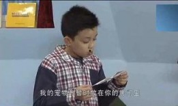 龙哥娱乐爆料事件真相